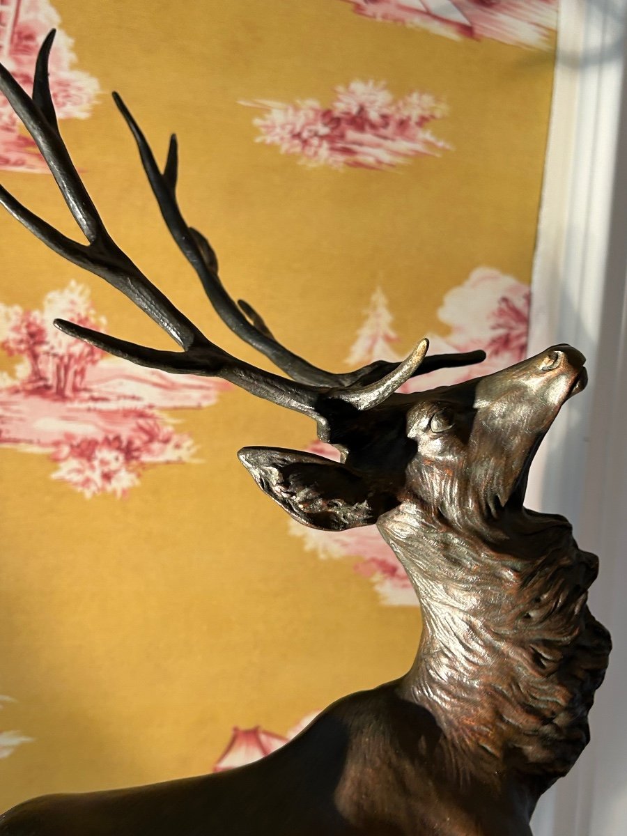 Large Bronze Deer With Ten Horns And Brown Patina Signed T. Cartier-photo-4