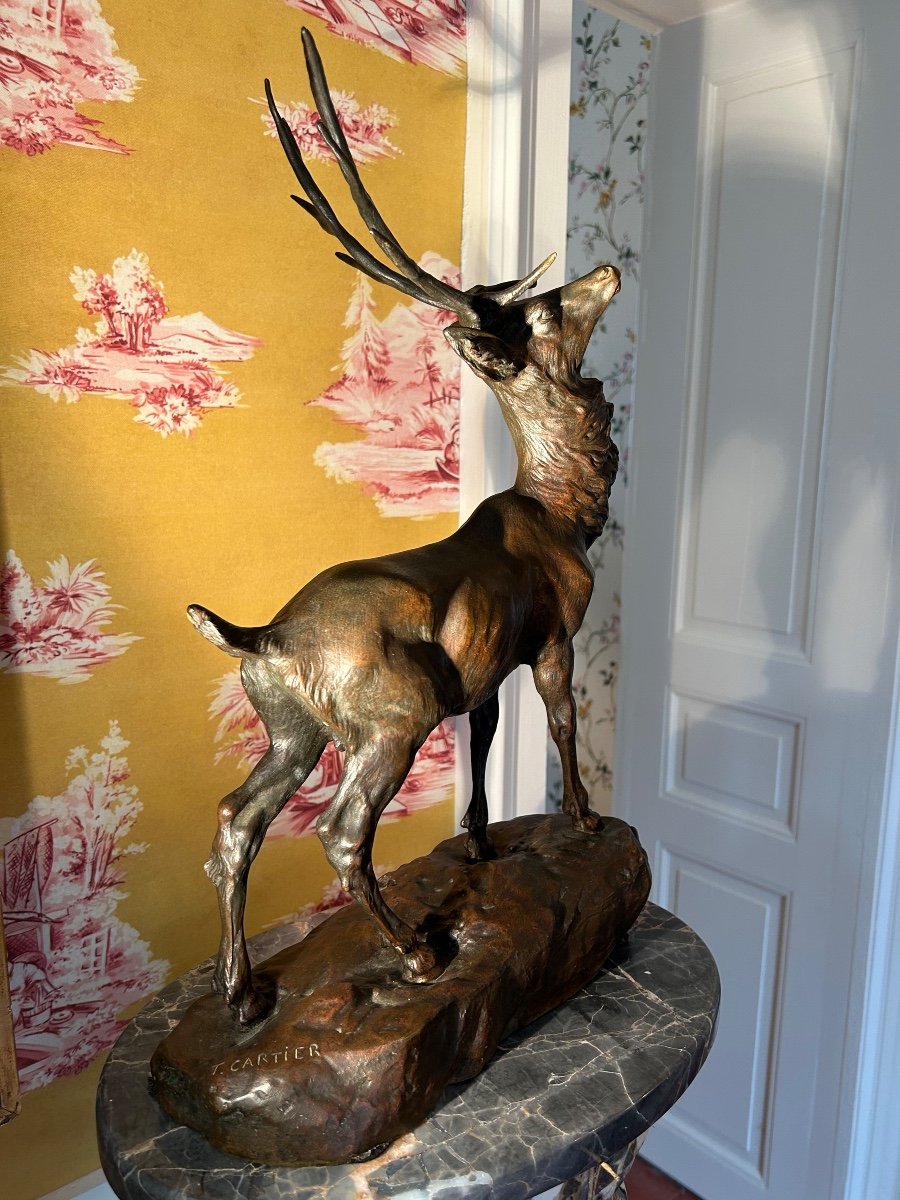 Large Bronze Deer With Ten Horns And Brown Patina Signed T. Cartier-photo-6