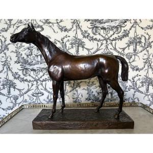 Bronze Horse Signed Jules Moigniez