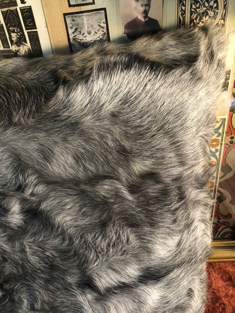 Fur Cushion, Mongolian Goat, Gray Wool Flannel Back. 45 X 45 Cm-photo-3