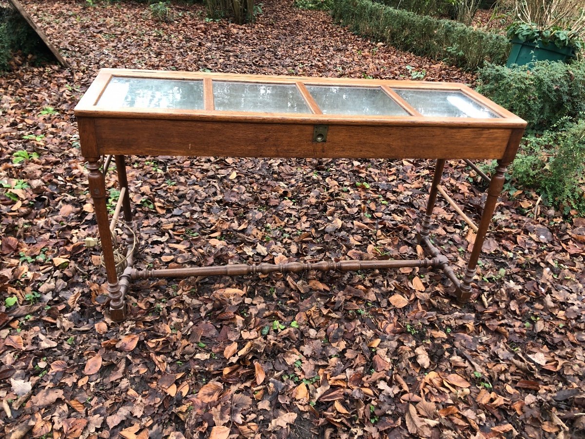 Vitrine De Bijoutier, Objets De Collection Avec éclairage Intégré. 