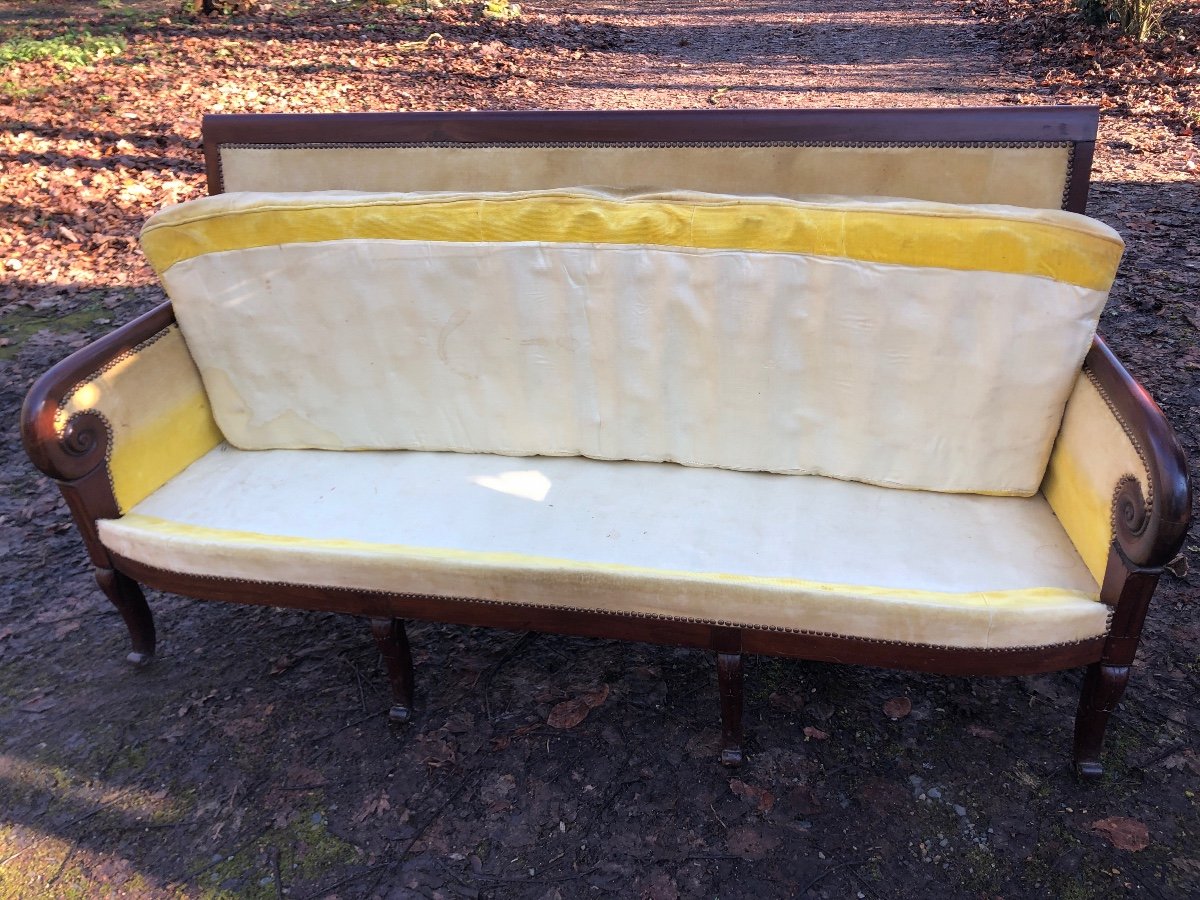 7-leg Empire Sofa In Mahogany, Yellow Velvet Fabric. -photo-4