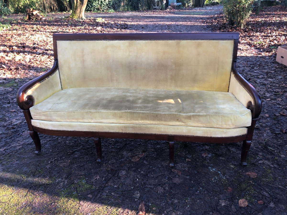 7-leg Empire Sofa In Mahogany, Yellow Velvet Fabric. 