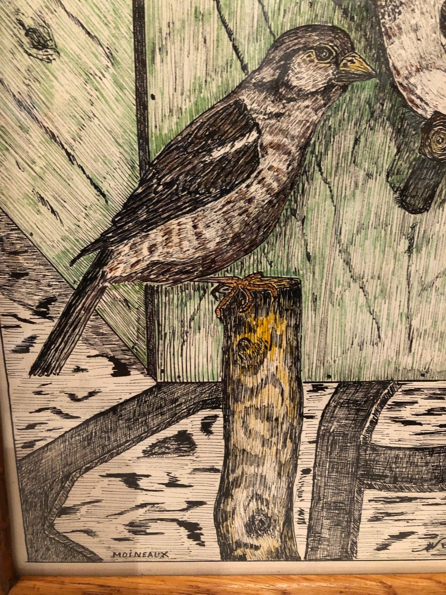 Dessins ( X2) Oiseaux De Nos Jardins, Réalisé Au Crayon, Avec Encadrement. -photo-1