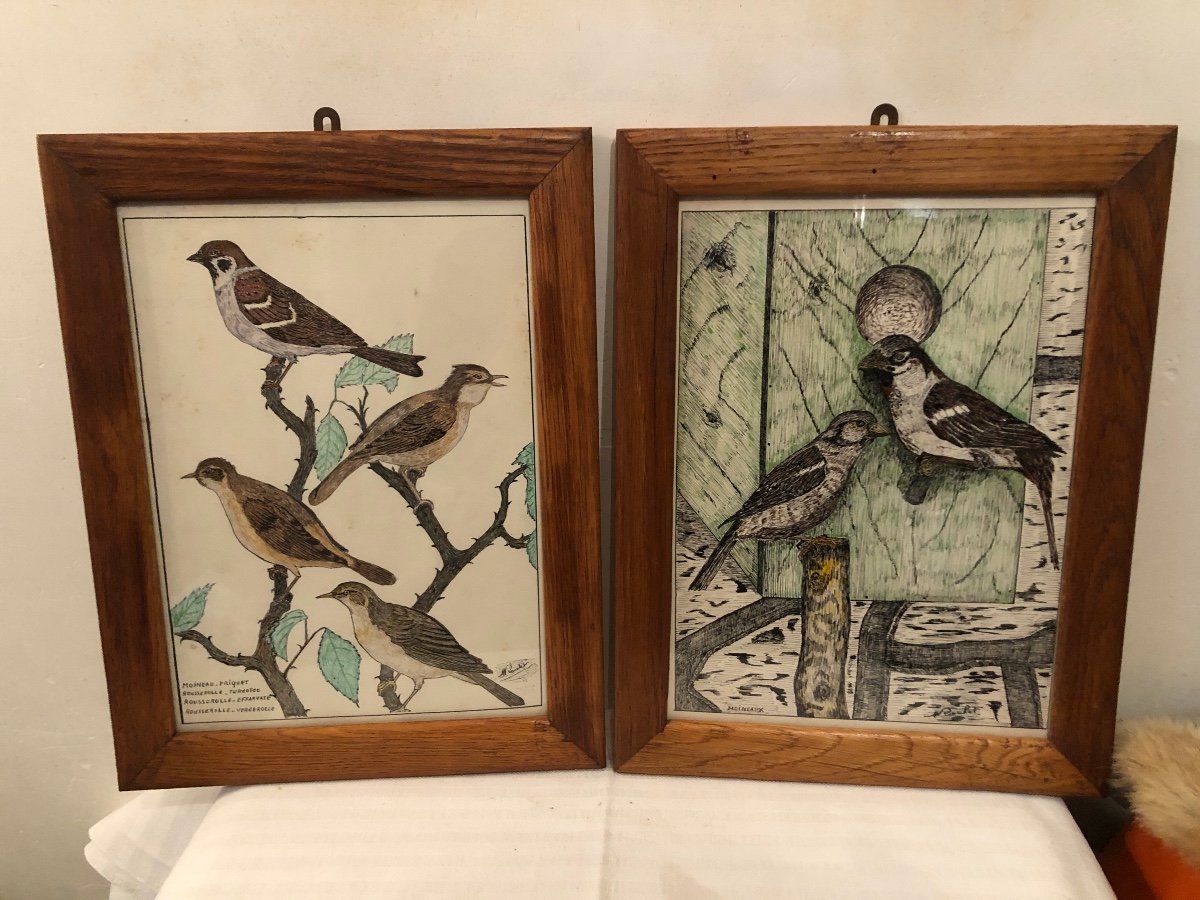 Dessins ( X2) Oiseaux De Nos Jardins, Réalisé Au Crayon, Avec Encadrement. 