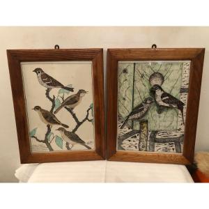 Drawings (x2) Birds Of Our Gardens, Made In Pencil, With Frame. 