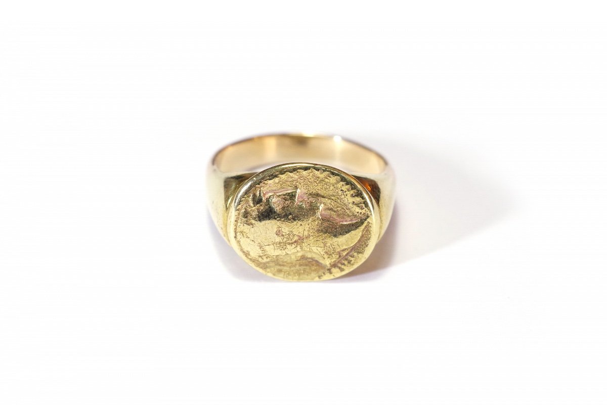 Antique Cameo Ring In 18k Gold And Bronze, Cameo Emperor Ring, Signet Ring, Profile-photo-3