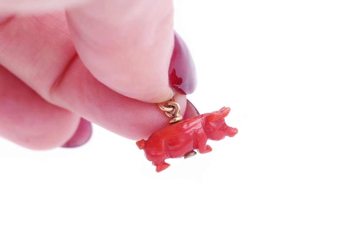 Coral Lucky Pig Pendant In 18 Karat Gold, Lucky Pendant, Coral Pig, Carved Coral Ring-photo-4