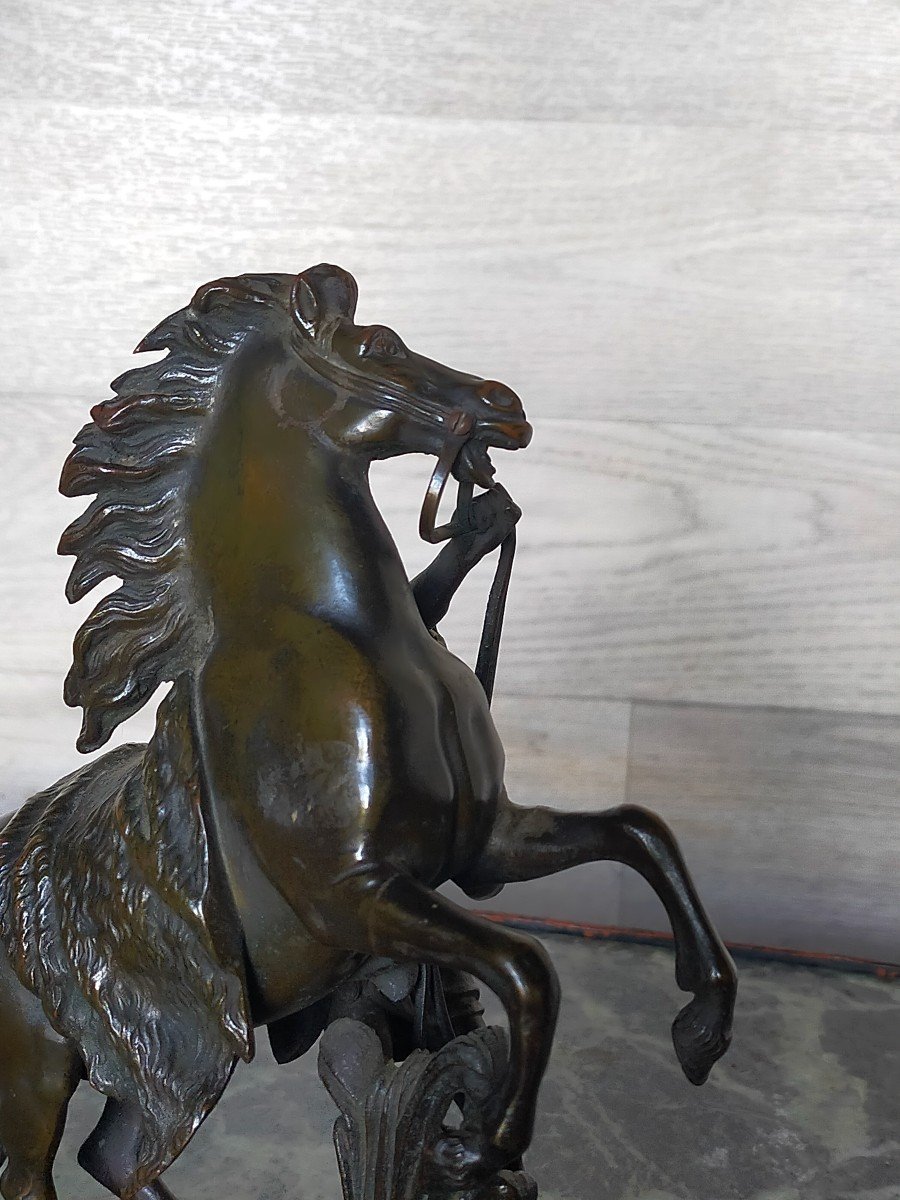 Cheval De Marly En Bronze Signe Coustou-photo-2