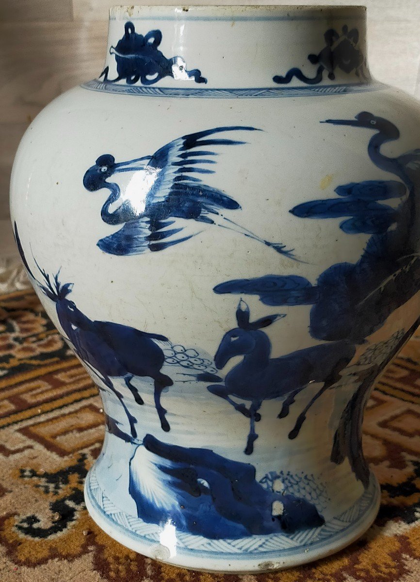 Large Kangxi Vase, (1662-1722) Blue And White -photo-4