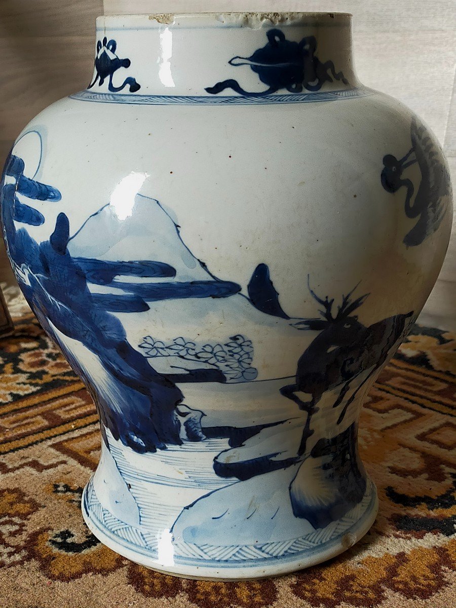 Large Kangxi Vase, (1662-1722) Blue And White -photo-3