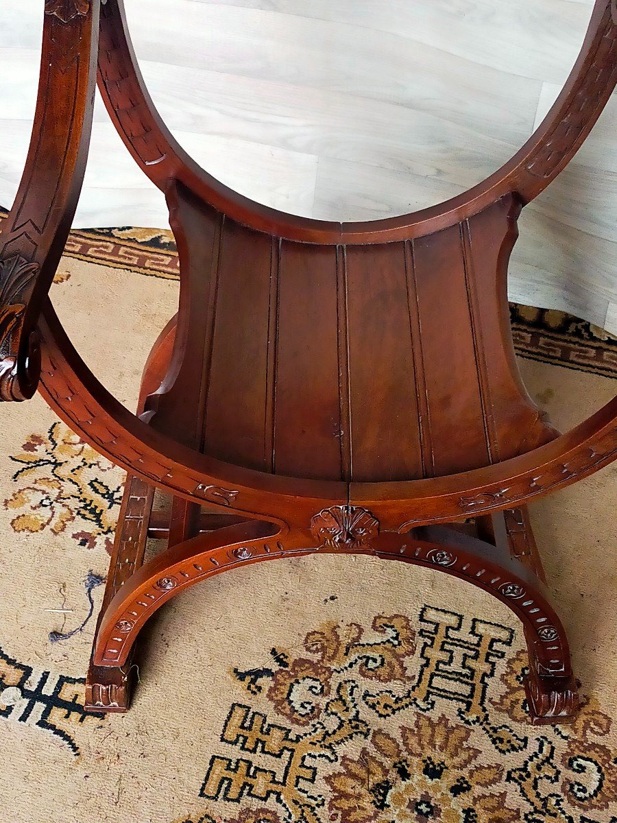 Dagobert Curule Walnut Armchair -photo-2