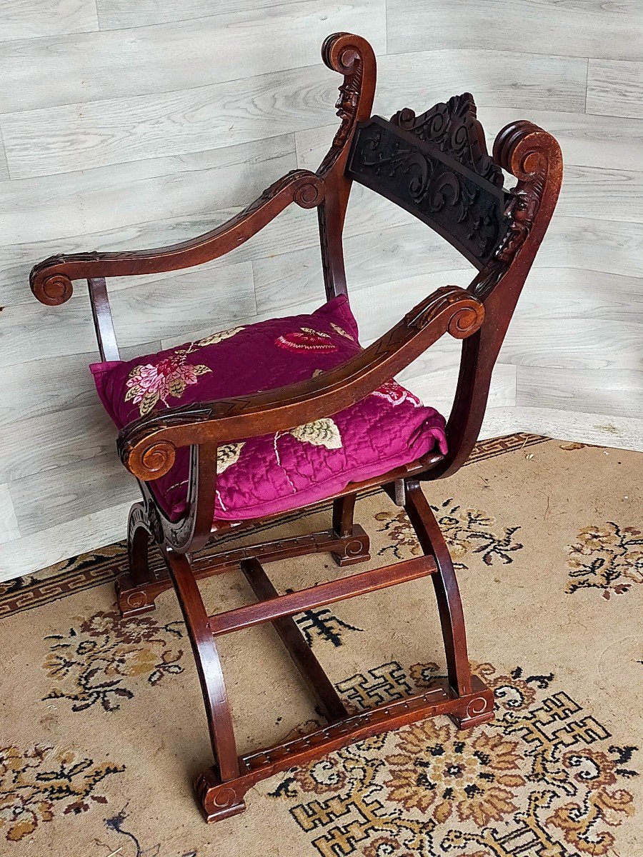 Dagobert Curule Walnut Armchair -photo-3