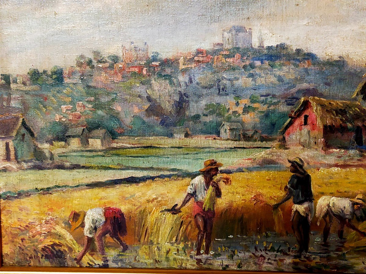 Albert Ramanda The Harvest In Antananarivo (malagasy, Madagascar, Ratovo, Rajesy, Rakotovao...)-photo-2