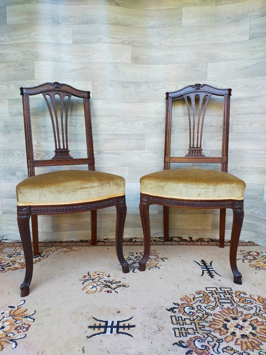 Pair Of Mahogany Chairs-photo-1