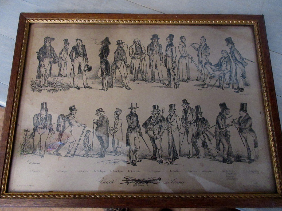 La Vari&eacute;t&eacute; Des Cannes Jean Ignace Isidore Grandville (1803-1847) Canne-photo-1