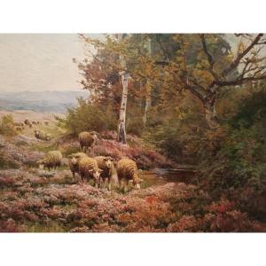 Edouard Pail (1851-1916)  ''Les moutons dans la bruyère''