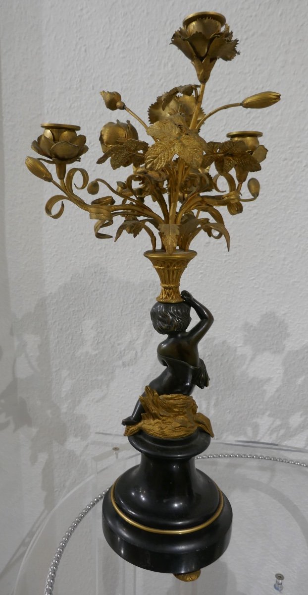 Pair Of Candelabra In Bronze-photo-4