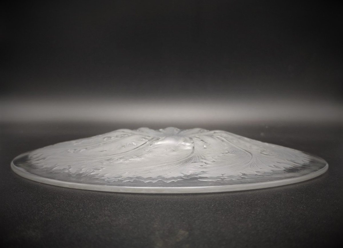 Lalique, Chicory Plate 1920s-photo-4