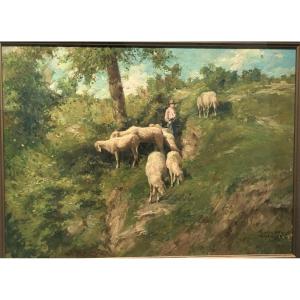 Giuseppe Gheduzzi, huile sur panneau « Moutons au pâturage », début des années 1900