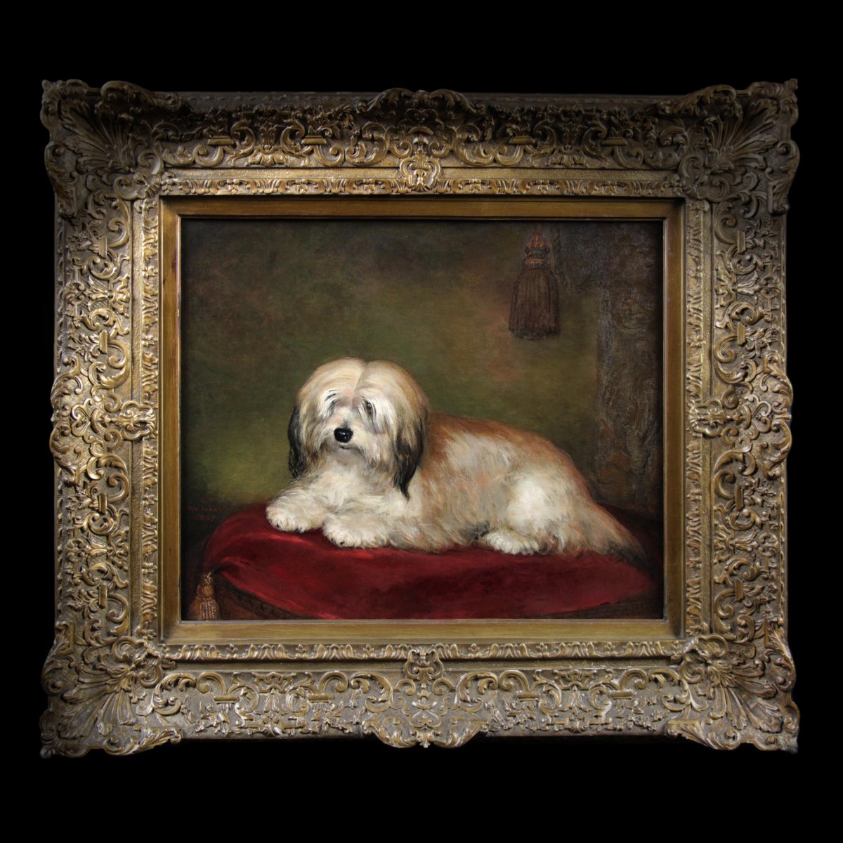 Oil Painting On Canvas Portrait Of A Dog British School Dog 19th-photo-1