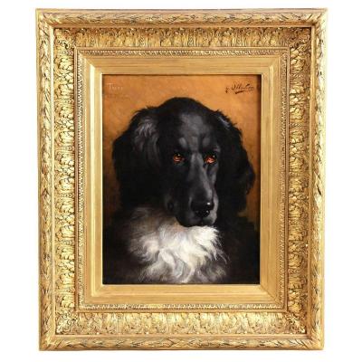 Portrait Of Newfoundland Dog Oil On Canvas 1887