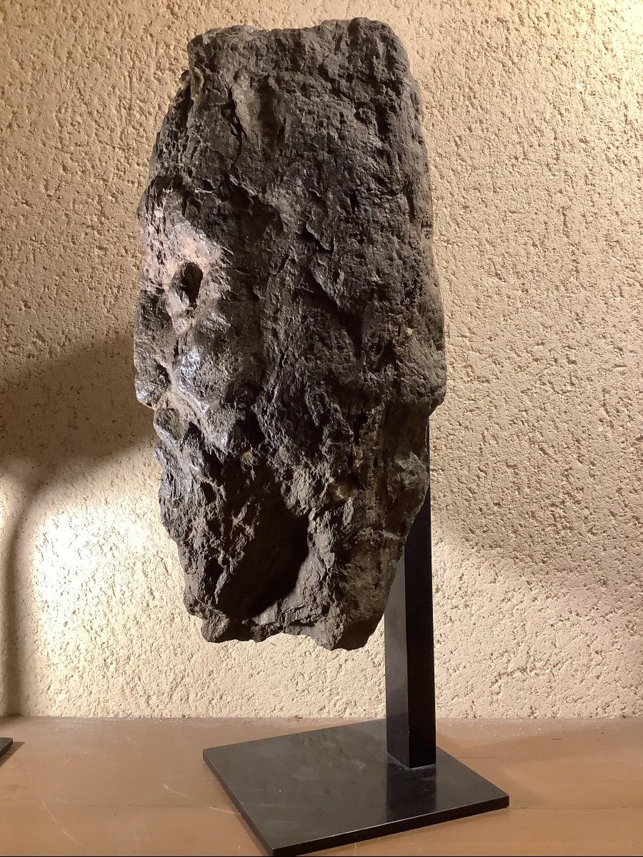 Head Of Christ In Fossilized Wood-photo-4