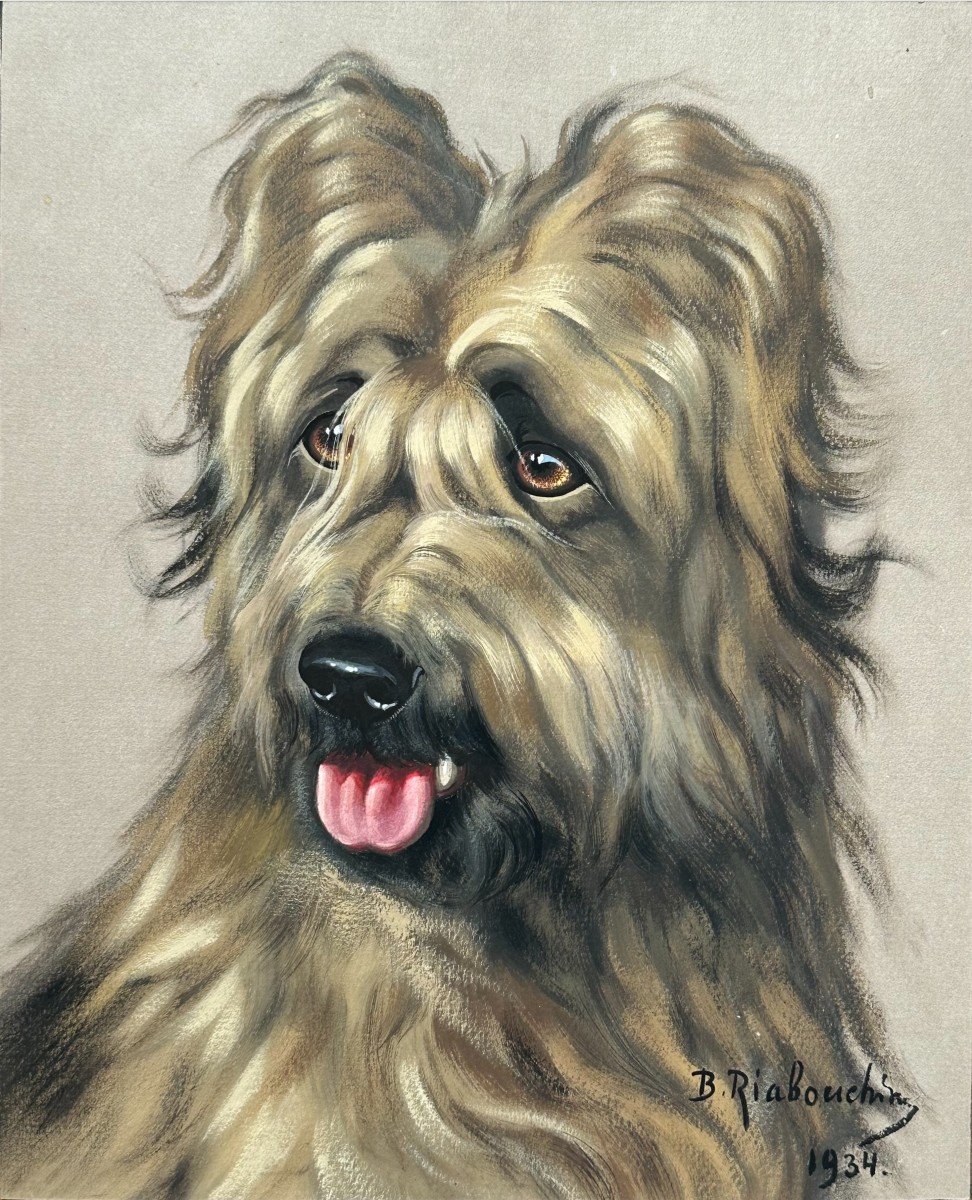 Boris Riabouchin (1898-1975) Riab, "portrait Of A Dog, Pyrenean Shepherd" (1934)