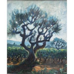 Paul Daragnès (1930-2012), "the Tree In The Middle Of The Vines"