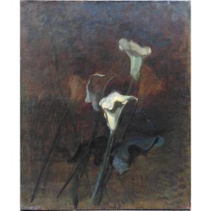French School Late Nineteenth, Arums, Oil On Canvas