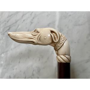 Collectible Cane With Ivory Handle Representing A Greyhound