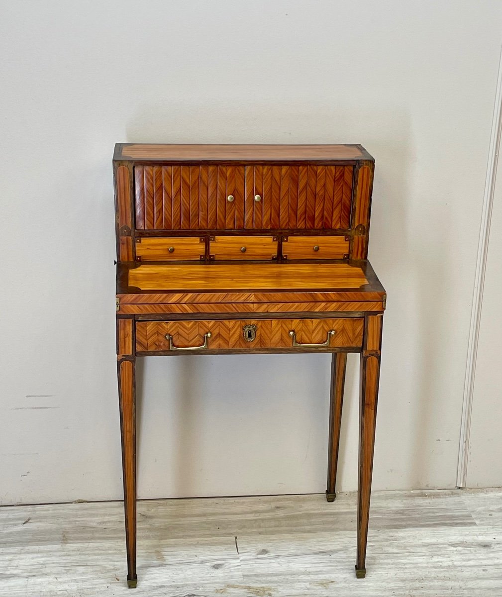 Small Happiness Desk Of The Day In Louis XVI Marquetry-photo-1