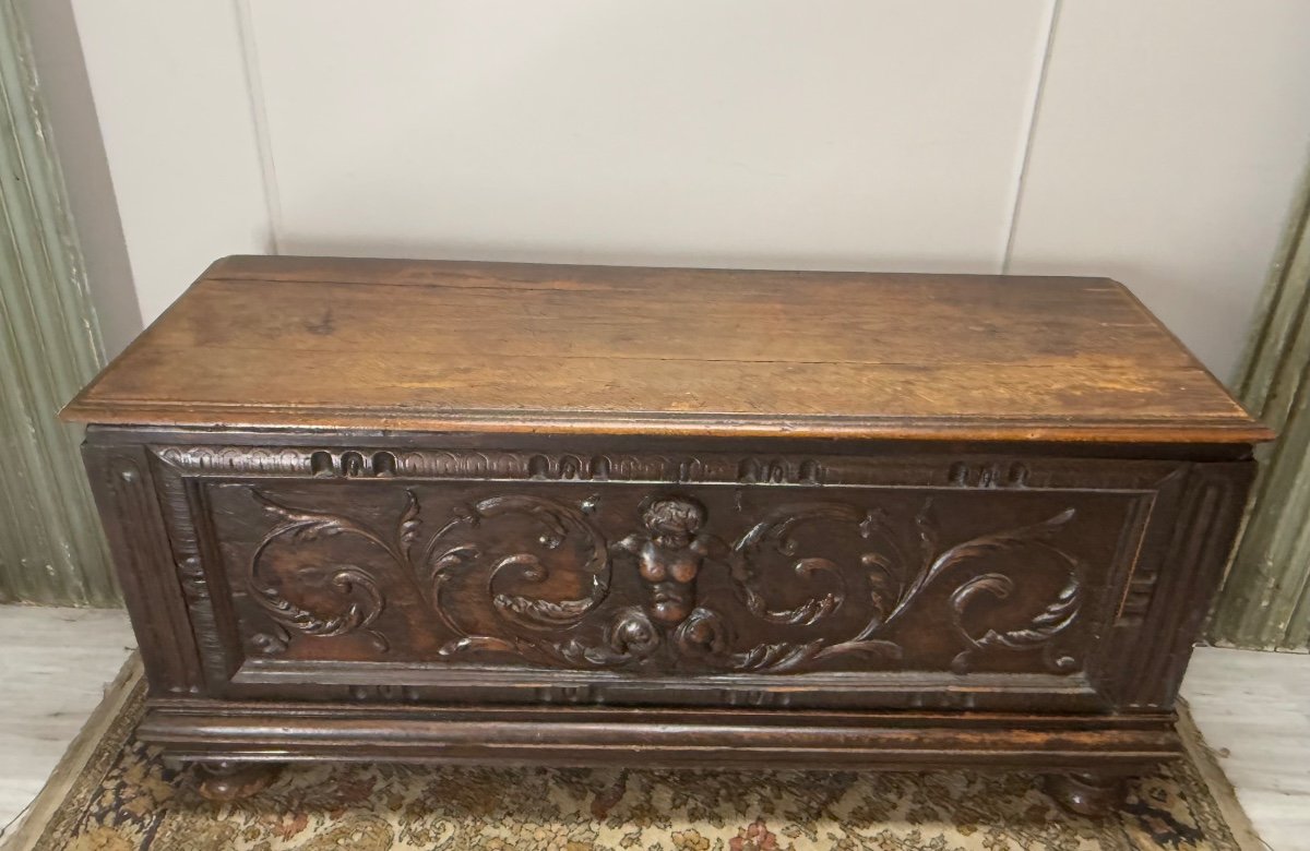 17th Century Renaissance Style Oak Chest -photo-2