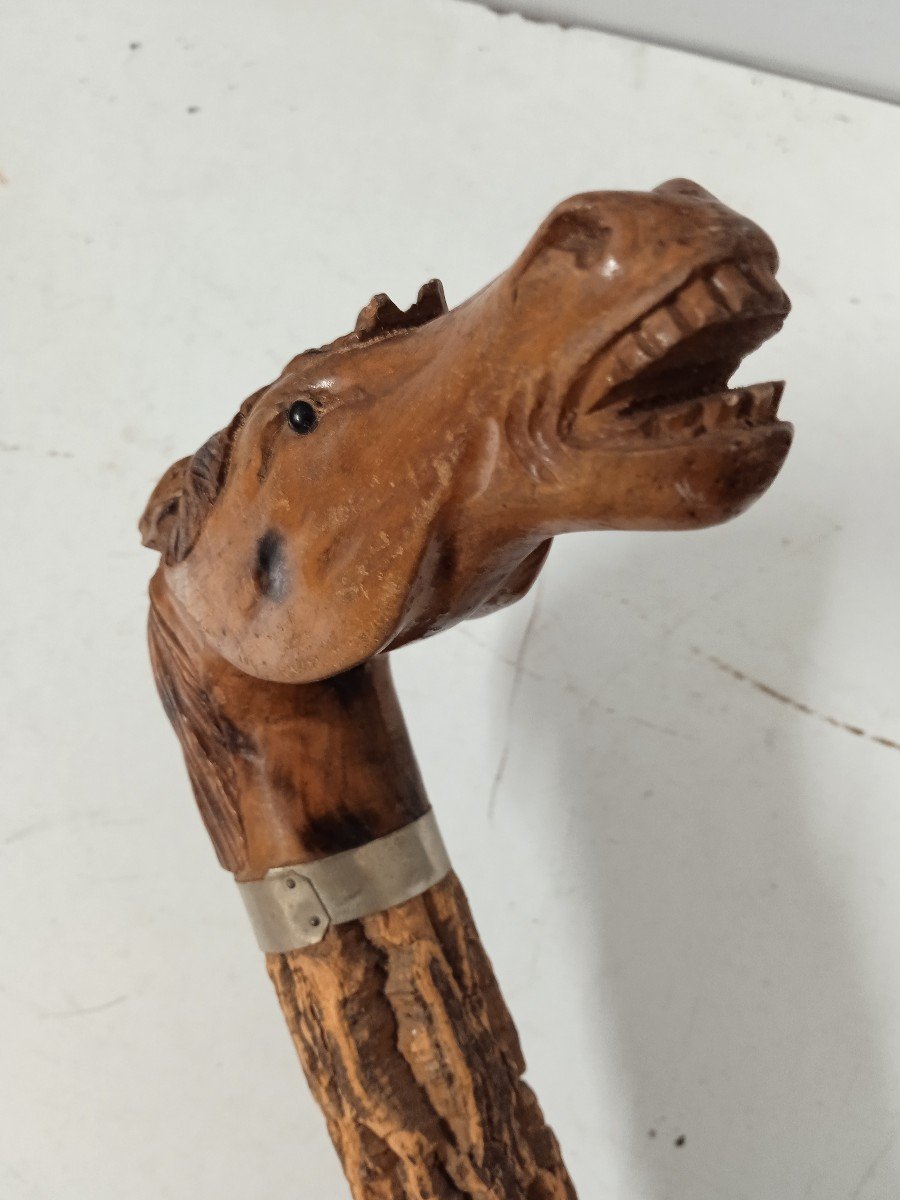 Folk Art Cane; Horse Head-photo-4