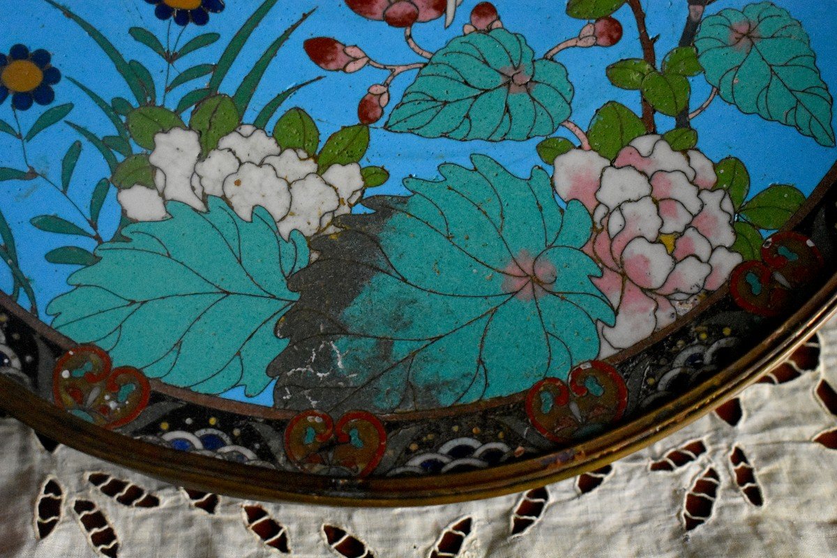 Grande Coupe En Emaux Cloisonnés, Plat en Email , Piètement  Bronze, Japon, Décor Oiseaux, Vers 1900-photo-4