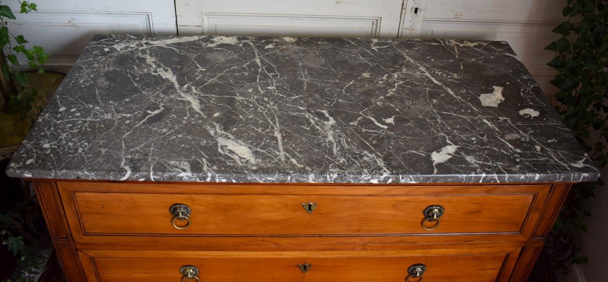 Consulate Period Commode, Lion's Paw Feet, Marble Top, Circa 1800-photo-4