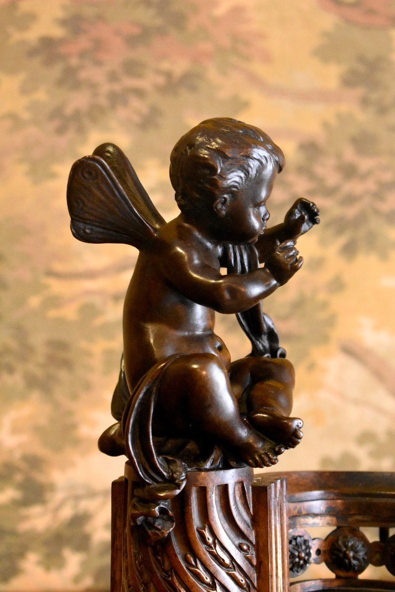 Pair Of Bronze Andirons With Double Patina, Putti Heated By The Fire, Cherubs, Cherubs, Louis XVI Style, XIXth Century, Butterfly Wings-photo-4