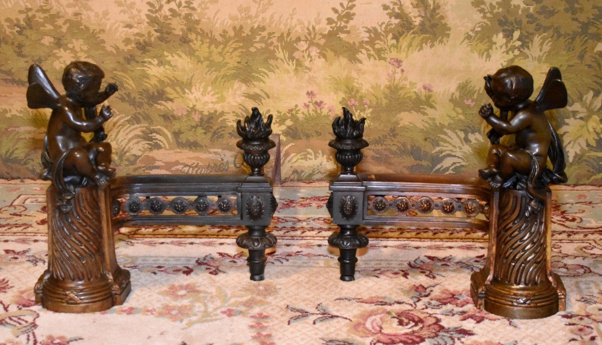 Pair Of Bronze Andirons With Double Patina, Putti Heated By The Fire, Cherubs, Cherubs, Louis XVI Style, XIXth Century, Butterfly Wings-photo-8