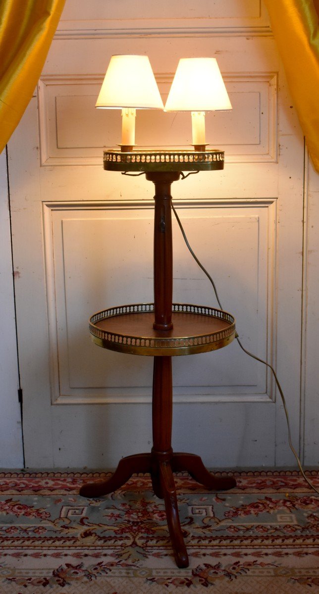 Pedestal Door - Light, Floor Lamp, Louis XVI Style Side Table, Mahogany And Brass-photo-8