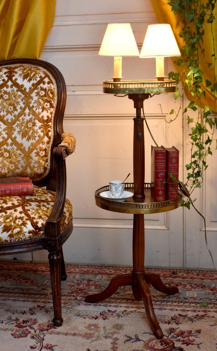 Pedestal Door - Light, Floor Lamp, Louis XVI Style Side Table, Mahogany And Brass