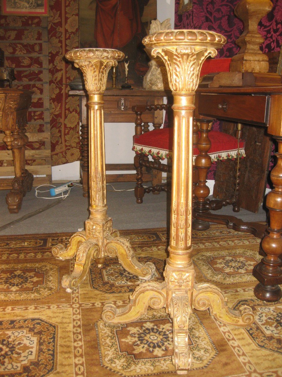 Pair Of Louis XVI Style Torcheres In Golden Wood.
