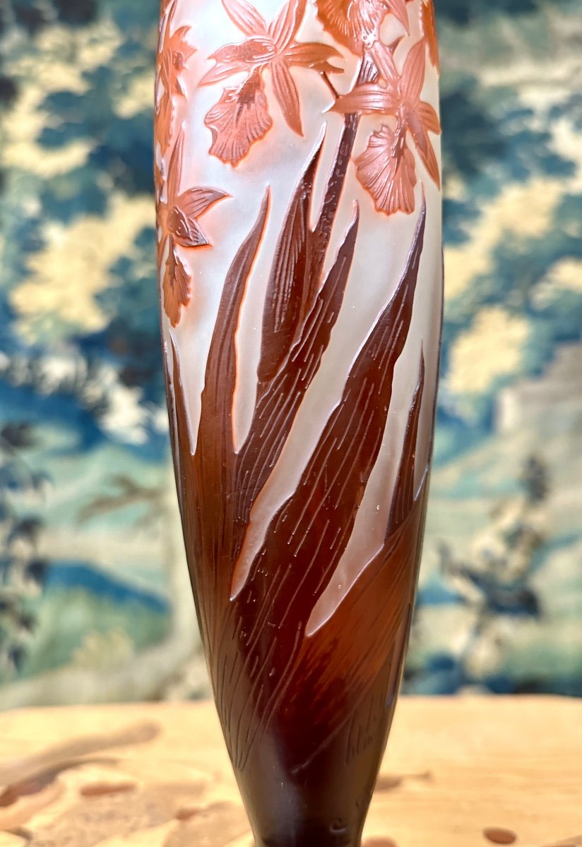 émile Gallé - Large Vase With Orange And Red Crocosmia, Art Nouveau Glass Paste-photo-5