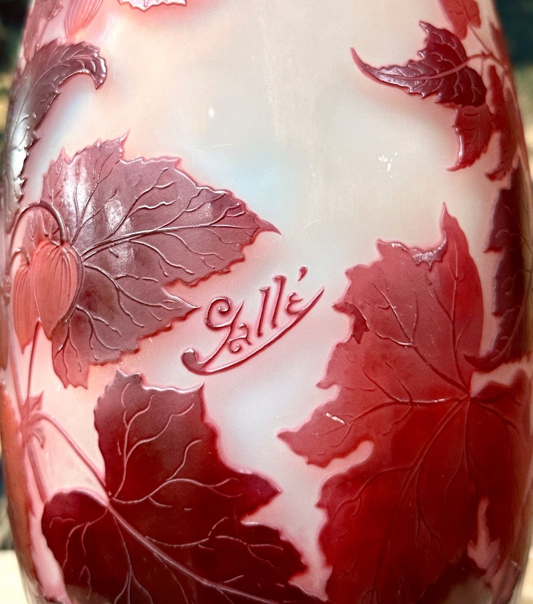 émile Gallé - Vase Aux Abutilons Rouges En Verre Multicouche. Pâte De Verre Art Nouveau-photo-2