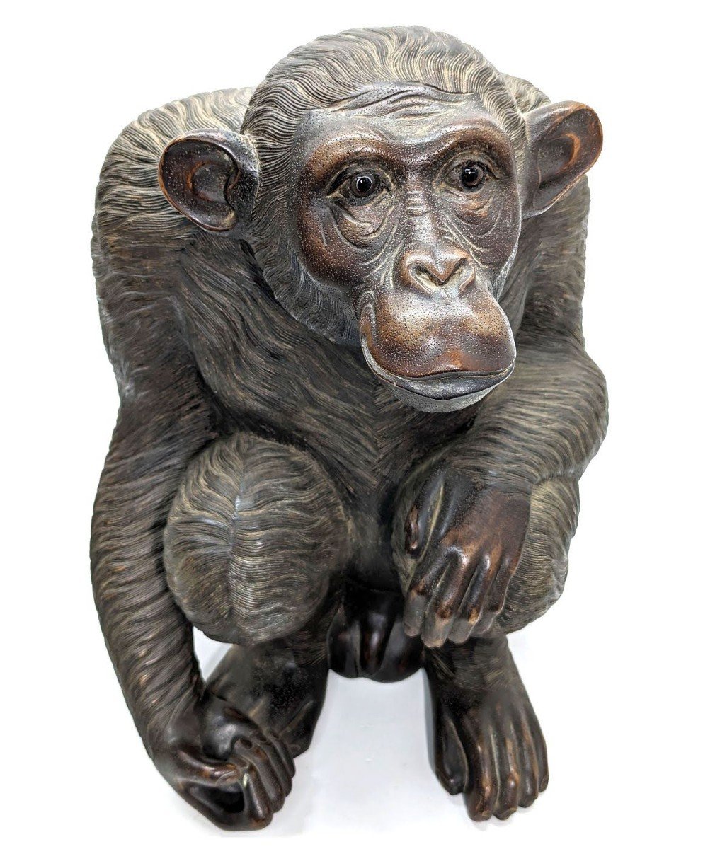 Sculpture En Bois Chimpanzé Yeux Sulfures   -photo-1