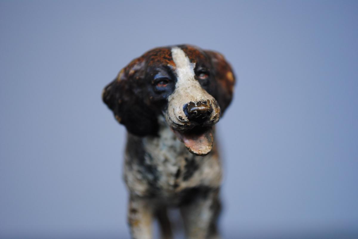 Bronze De Vienne Saint Bernard Sur Socle Agathe-photo-4