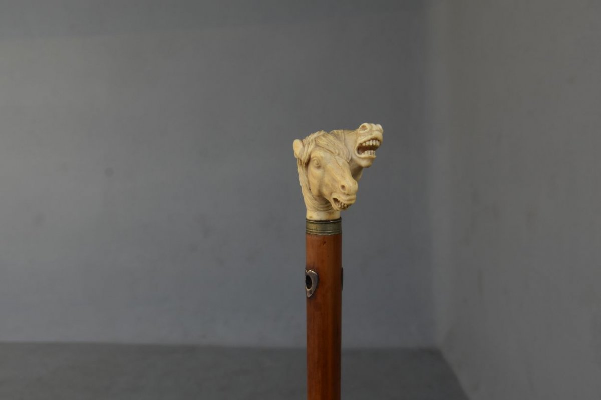 Collection Cane With Horse Heads In Ivory XIXth-photo-2