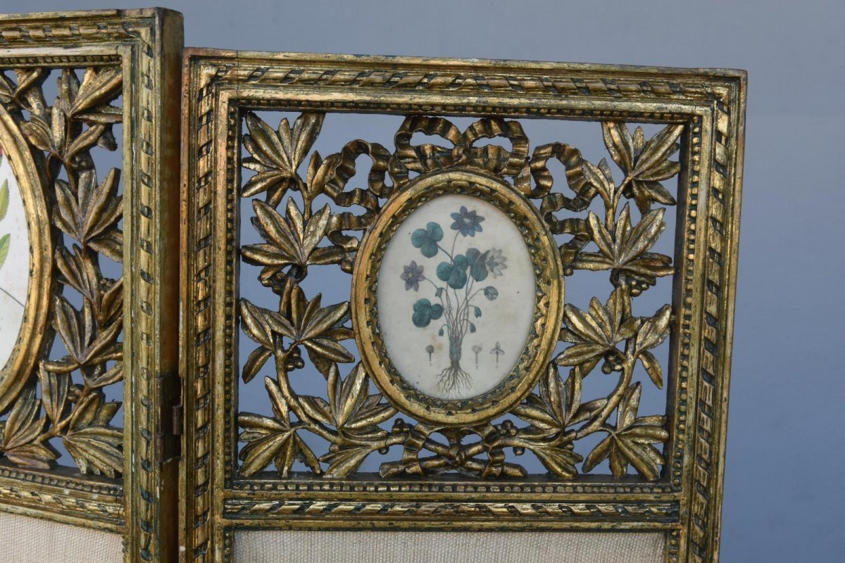 Louis XVI Style Golden Wood Screen-photo-5