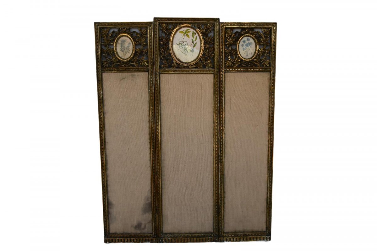 Louis XVI Style Golden Wood Screen