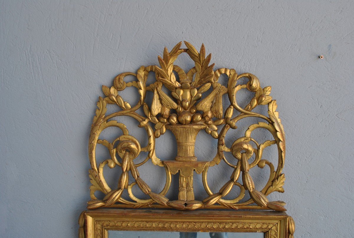 Mirror In Golden Wood Louis XVI XIXth-photo-2