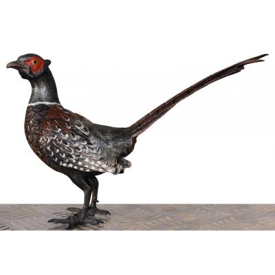 Pheasant In Bronze From Vienna